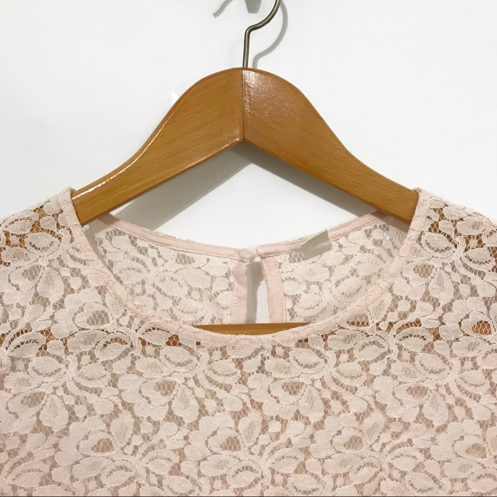 Pale Pink Sheer Lace Cap Sleeve Blouse - Picture 3 of 6